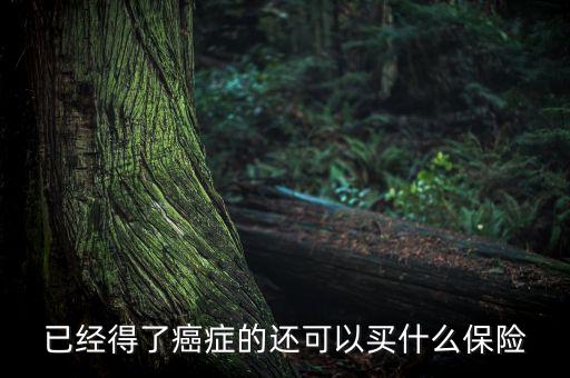 癌癥病人能買什么險(xiǎn)，癌癥患者能參加什么保險(xiǎn)