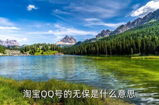 淘寶不保單是什么意思，在淘寶網(wǎng)的的QQ無保是什么意思啊