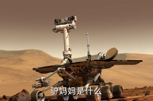驢媽媽是什么模式，驢媽媽是什么
