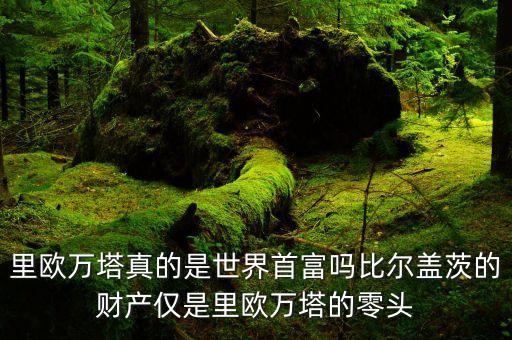 杜邦家族是干什么的，里歐萬塔真的是世界首富嗎比爾蓋茨的財(cái)產(chǎn)僅是里歐萬塔的零頭