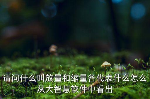 什么是放量和縮量圖片，請問什么叫放量和縮量各代表什么怎么從大智慧軟件中看出