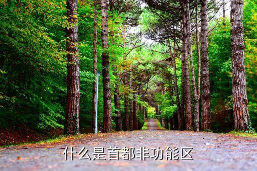 什么是非首都核心功能，什么是首都非功能區(qū)