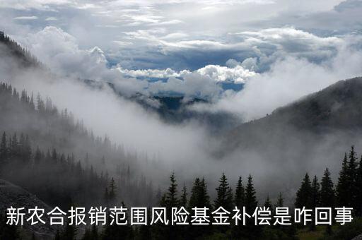 什么是政府風(fēng)險(xiǎn)補(bǔ)償基金，政府風(fēng)險(xiǎn)補(bǔ)償基金屬于哪個(gè)企業(yè)會計(jì)科目