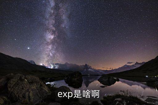 expd是什么意思，exp是啥啊