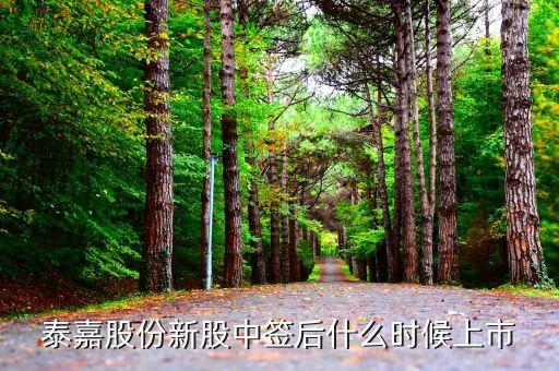 泰嘉新材什么時候上市，300397什么時候上市