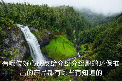 鵬鷂環(huán)保什么時候上市，我姑姑很想要了解鵬鷂環(huán)保推出的產(chǎn)品都有哪些有知道的么