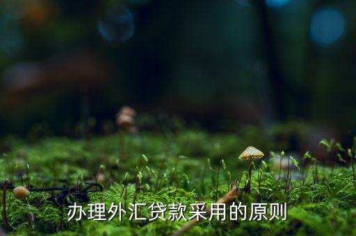 貸款三查指什么，銀行貸款三查不嚴(yán)能使貸款合同無(wú)效嗎