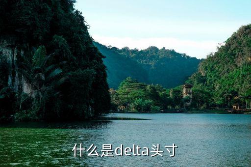 什么是聯(lián)邦頭寸，什么是delta頭寸