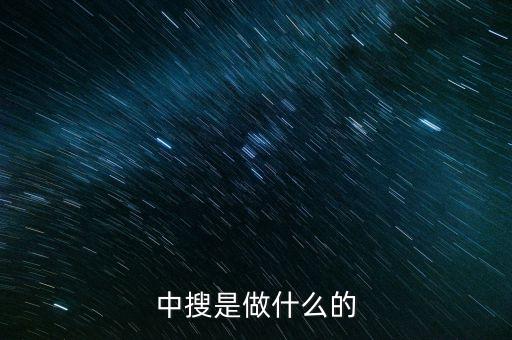 中搜是干什么的，中搜是做什么的