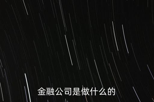 美國住宅金融公司是干什么的，房地美和房利美在美國算什么性質(zhì)的金融機構(gòu)