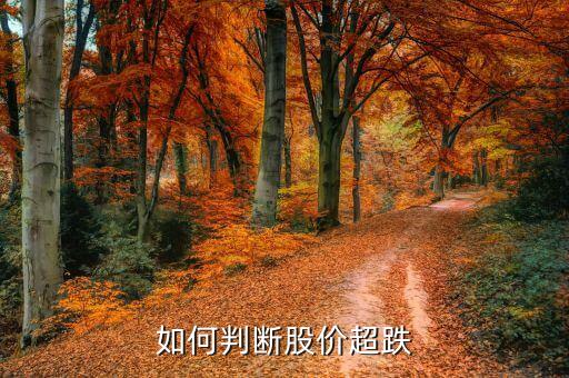 超跌反彈波段看什么線，現(xiàn)在股票是否反彈應(yīng)該關(guān)注那線股票好呢