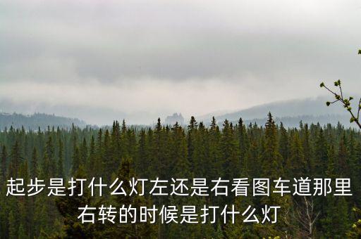 駕駛打右燈和左燈什么意思啊，起步是打什么燈左還是右看圖車道那里右轉(zhuǎn)的時(shí)候是打什么燈