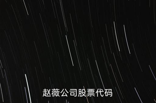 趙薇買的什么股票代碼，范冰冰 趙薇 股票5億買的什么股票
