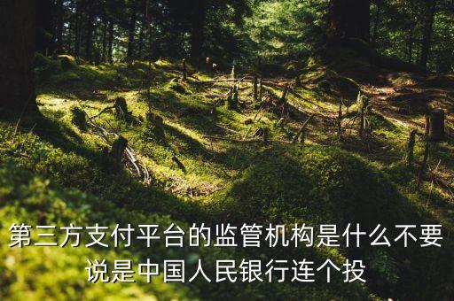 第三方支付平臺由什么機(jī)構(gòu)授權(quán)，第三方支付平臺的監(jiān)管機(jī)構(gòu)是什么不要說是中國人民銀行連個投
