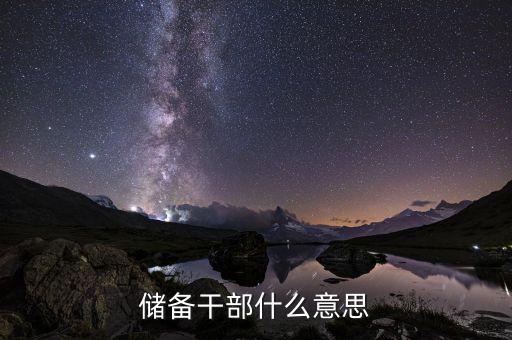 溫州金龍機(jī)電儲(chǔ)備干部什么意思，儲(chǔ)備干部什么意思
