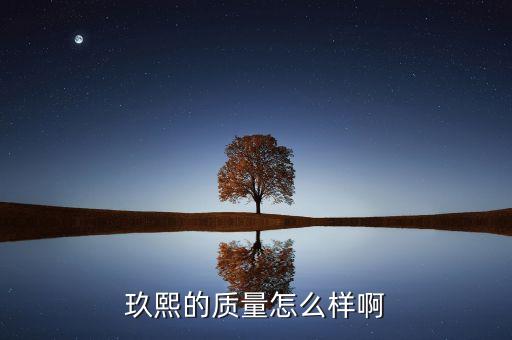 玖熙鞋子屬于什么檔次，玖熙的鞋子怎么樣 NINE WEST