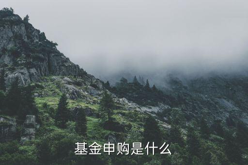 基金申購(gòu)什么意思，基金支取基金申購(gòu)什么意思