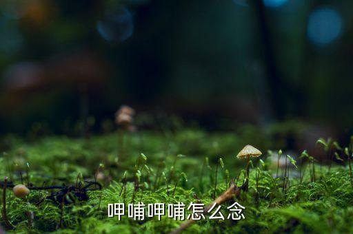 呷哺什么意思，呷哺呷哺怎么念