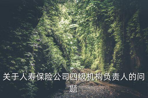 關(guān)于人壽保險公司四級機(jī)構(gòu)負(fù)責(zé)人的問題