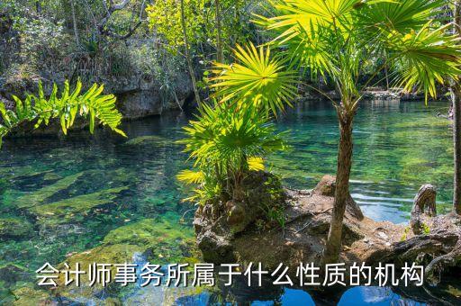 鄭商所期衍所屬于什么性質(zhì)，會(huì)計(jì)師事務(wù)所屬于什么性質(zhì)的機(jī)構(gòu)