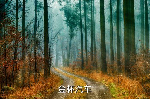 金杯汽車什么時侯改革，金杯面包車哪年起是黃標(biāo)車