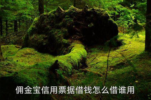 借錢打新是什么意思，舉借新債償還 是什么意思