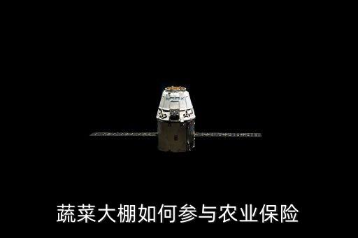 種大棚買(mǎi)保險(xiǎn)陪什么，蔬菜大棚入保險(xiǎn)請(qǐng)問(wèn)入哪一類(lèi)保險(xiǎn)