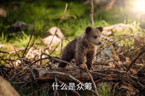 什么是眾籌新聞，消費(fèi)眾籌是什么意思