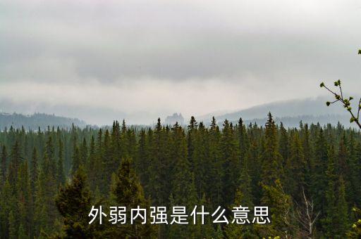 外弱內強的是什么，外弱內剛是什么意思
