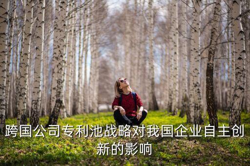 北京君正是什么公司，跨國(guó)公司專利池戰(zhàn)略對(duì)我國(guó)企業(yè)自主創(chuàng)新的影響