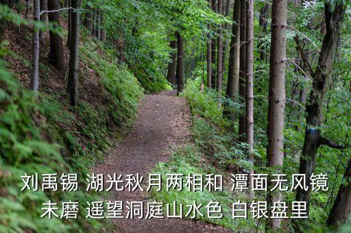 君山股份是做什么，劉禹錫 湖光秋月兩相和 潭面無風鏡未磨 遙望洞庭山水色 白銀盤里