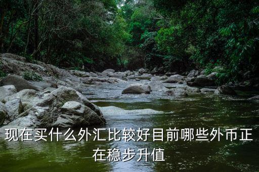 近期買什么外匯，預(yù)測人民幣匯率走勢是怎樣的 炒外匯現(xiàn)在買哪對外匯比較好