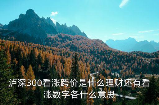 看漲跨價什么意思，理財 滬深300看漲跨價好不好