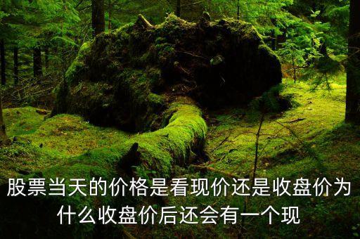 為什么到收盤后能知道有的票，為什么在12306看同一車次到一個(gè)地方顯示沒票到另一個(gè)地方就顯示