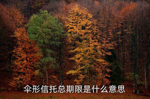 傘形信托的杠桿比例是什么意思，傘形信托總期限是什么意思