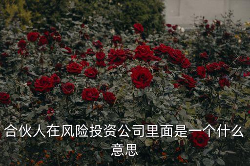 vc合伙人是什么，風(fēng)險(xiǎn)投資公司中的合伙人和經(jīng)理人都是什么意思