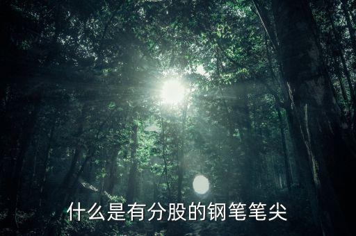 鋼筆頭分股是什么樣的，什么是有分股的鋼筆筆尖