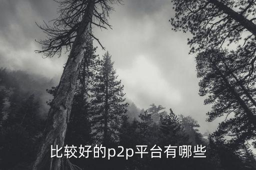 什么p2p平臺(tái)比較靠譜，請(qǐng)問國(guó)內(nèi)P2P平臺(tái)哪家比較安全可靠點(diǎn)想了解下