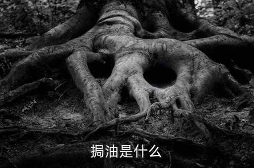 粵油是什么，輕質(zhì)油在炒原油里的什么油比如什么大連油粵油
