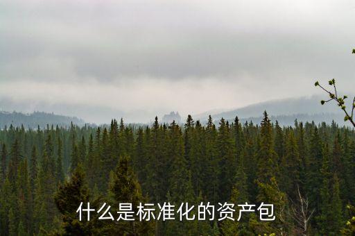 什么屬于標(biāo)準(zhǔn)化資產(chǎn)，標(biāo)準(zhǔn)化資產(chǎn) 什么是標(biāo)準(zhǔn)化資產(chǎn)