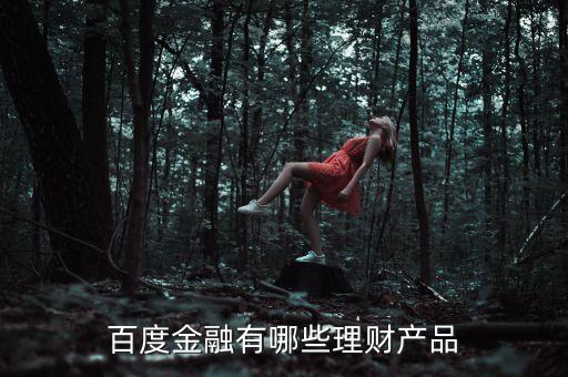 百度有什么理財(cái)產(chǎn)品，百度金融有哪些理財(cái)產(chǎn)品