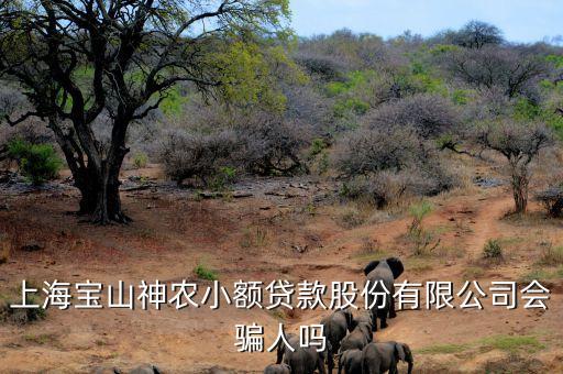 上海神農(nóng)小額貸款公司經(jīng)理叫什么，上海寶山神農(nóng)小額貸款股份有限公司會(huì)騙人嗎