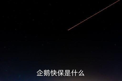 快保保險是什么公司，企鵝快保是什么