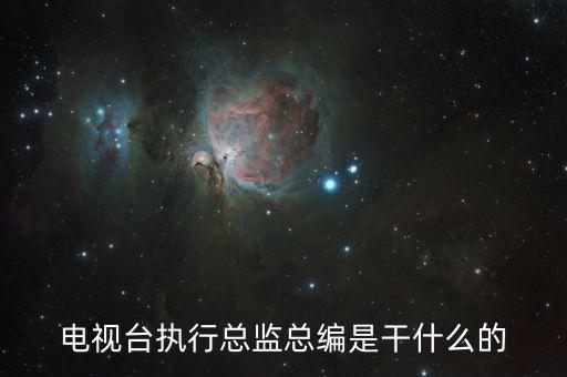 執(zhí)行總編輯負(fù)責(zé)什么，執(zhí)行總編和總編的區(qū)別