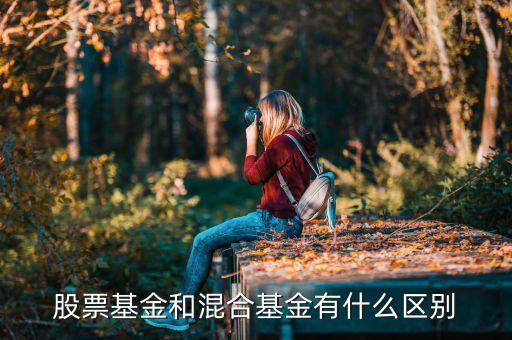 混合基金和股票基金有什么區(qū)別，混合基金和股票基金的區(qū)別在哪
