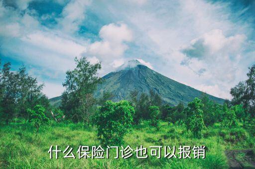 什么商業(yè)保險(xiǎn)門診都能報(bào)銷，什么險(xiǎn)種可以門診費(fèi)用報(bào)銷