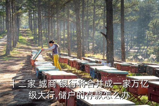十二家 城商 銀行將合并成一家萬億級大行,儲(chǔ)戶的存款怎么辦