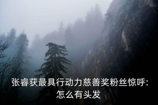 張?；饦I(yè)績(jī),2022基金業(yè)績(jī)排行榜