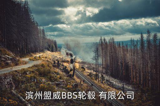 渤?；钊煞萦邢薰臼袌?chǎng)總監(jiān),山東濱州渤海活塞股份有限公司招聘