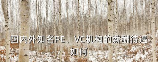 國內(nèi)外知名PE、VC機(jī)構(gòu)的薪酬待遇如何
